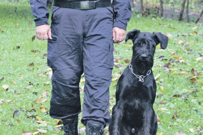 Die Polizeihundeinspektion Graz mit dem Diensthund „Ecco“.