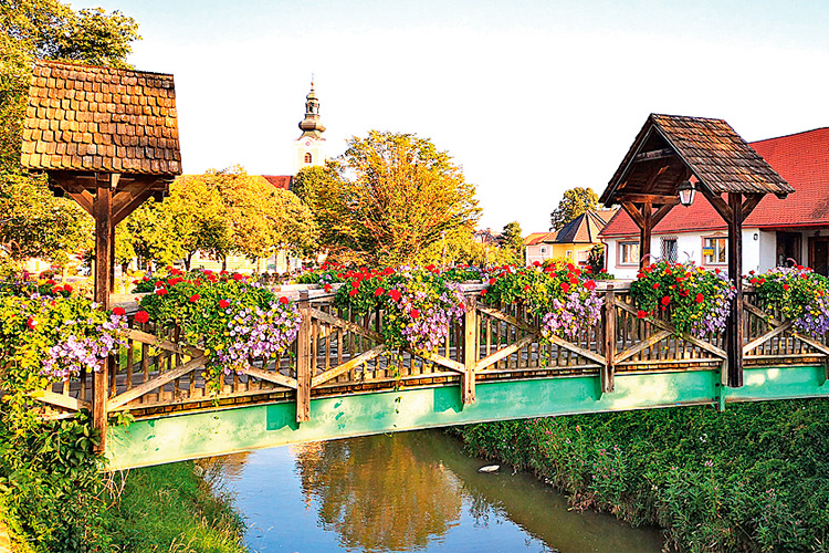 Die Marktgemeinde Bad Waltersdorf hat schon zahlreiche Auszeichnungen für den Blumenschmuck erhalten.